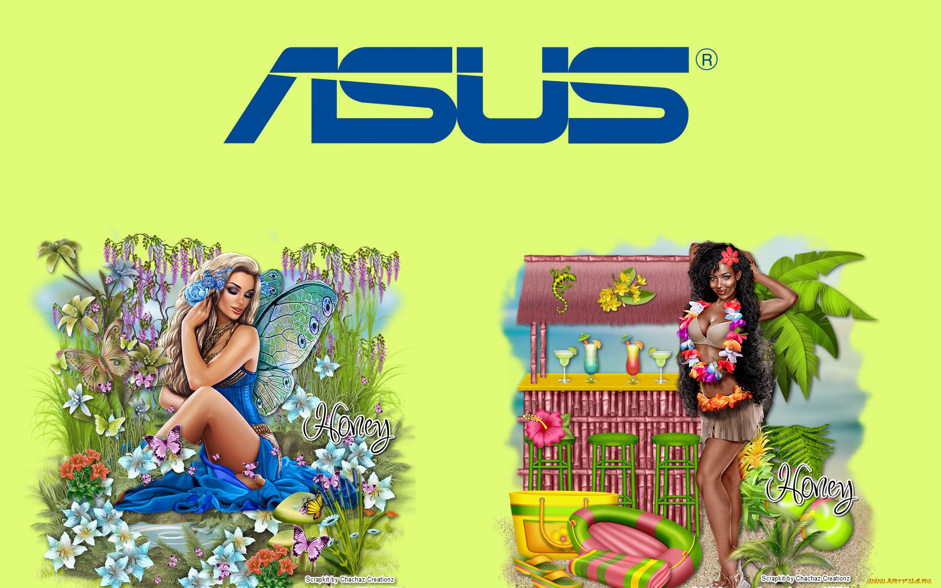 , asus, , 